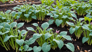 découvrez le légume méconnu préféré des jardiniers experts pour booster vos récoltes et maximiser la production de votre potager facilement.