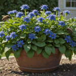 découvrez cette plante bleue exceptionnelle qui pousse rapidement en pot ou en pleine terre, idéale pour attirer et nourrir les abeilles avec ravissement.